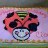 Lady Bug Cake