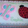 Butterfly and Lady Bug Cake