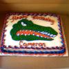 Florida Gators Cake